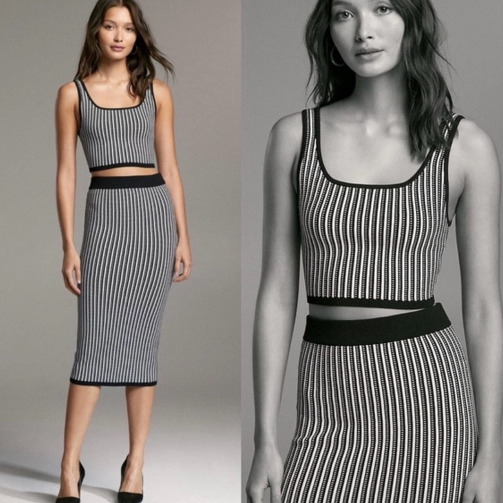 Aritzia Babaton Sculpt Knit Midi Skirt